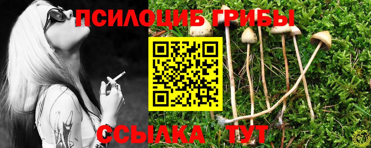 Тверь  Галлюциногенные грибы ЛСД  Вход с VPN 