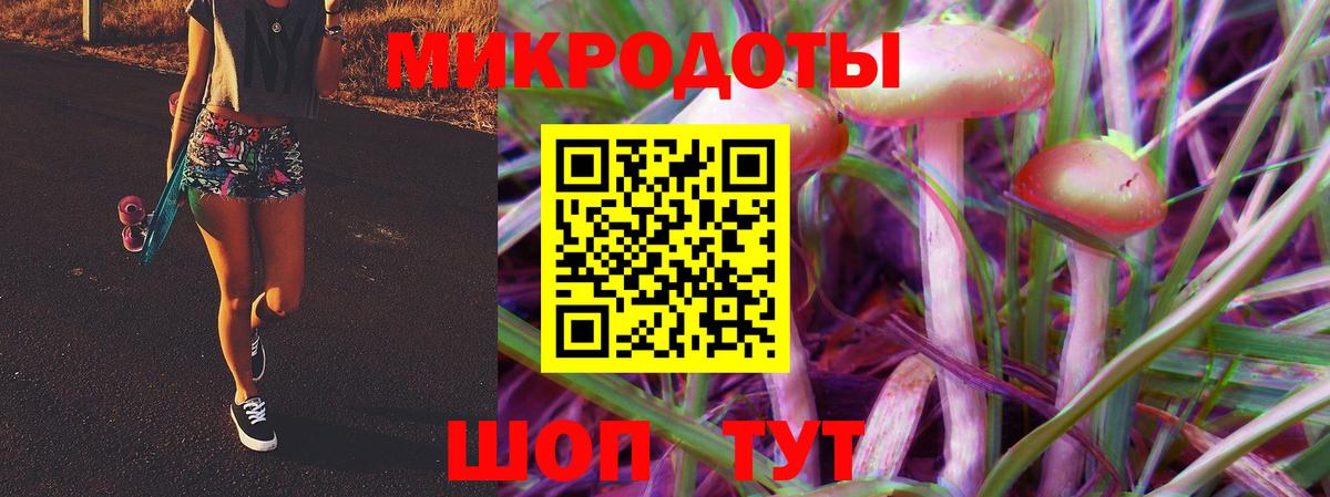 Псилоцибиновые грибы Psilocybine cubensis Тверь